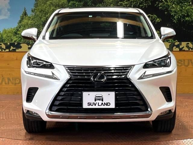 Lexus NX 2017-11 191814-14