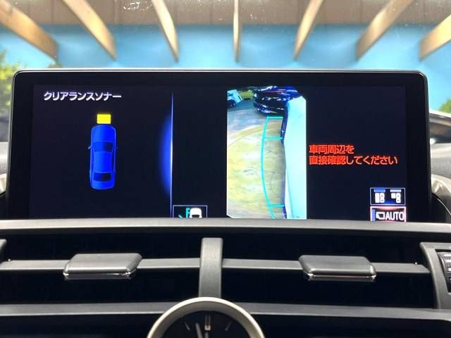 Lexus NX 2017-11 191814-4