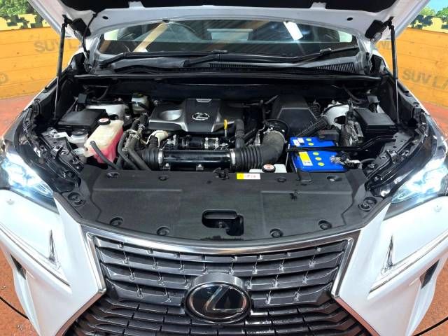 Lexus NX 2017-11 191814-18