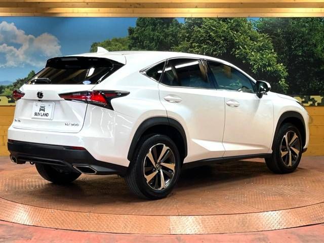 Lexus NX 2017-11 191814-17