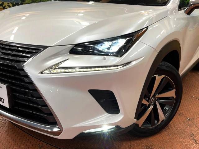 Lexus NX 2017-11 191814-13