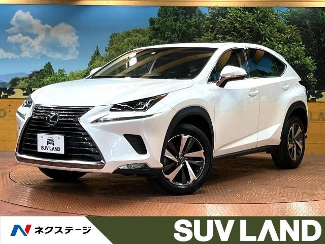 Lexus NX 2017-11 191814-0