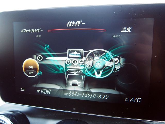 Amg C-CLASS 2018-05 191784-21