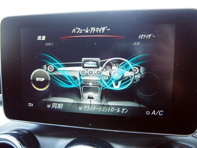 Amg C-CLASS 2018-05 191784-22