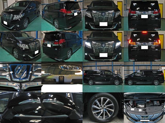 Toyota ALPHARD HYBRID 2016-09 3656-1
