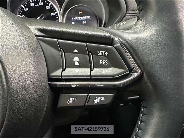 Mazda CX-8 2019-06 217747-4