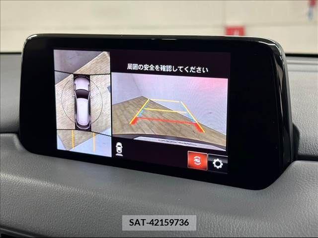 Mazda CX-8 2019-06 217747-3