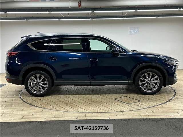 Mazda CX-8 2019-06 217747-16