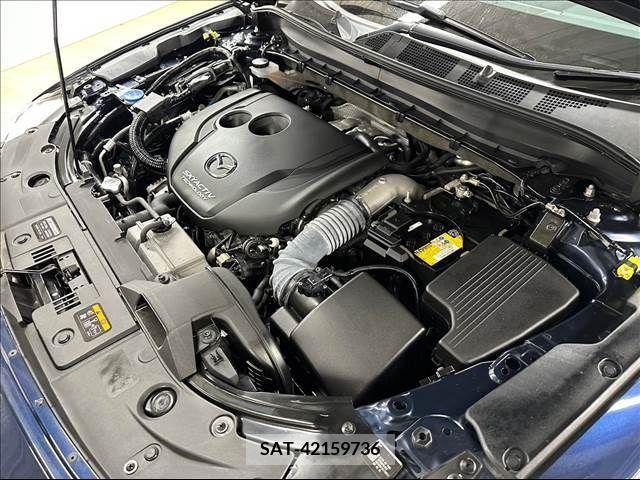 Mazda CX-8 2019-06 217747-19