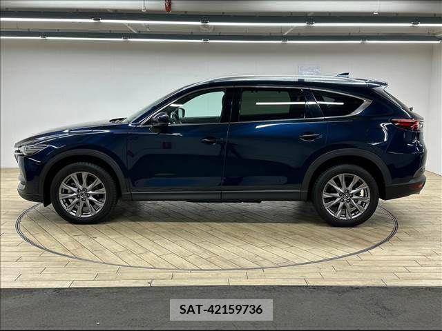 Mazda CX-8 2019-06 217747-15