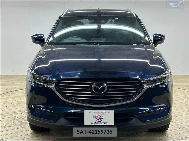 Mazda CX-8 2019-06 217747-13