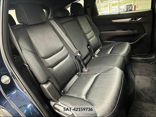 Mazda CX-8 2019-06 217747-10