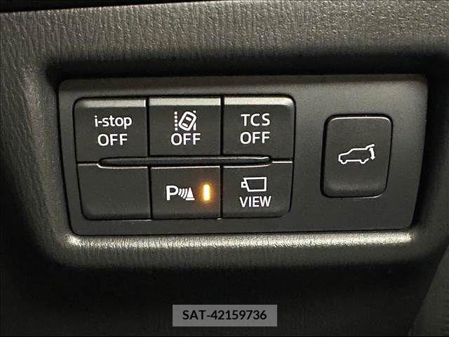Mazda CX-8 2019-06 217747-5