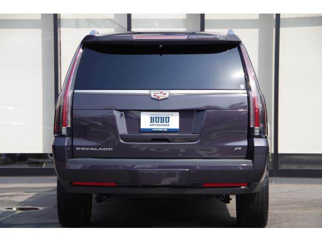 Cadillac ESCALADE 2015-12 1139-8