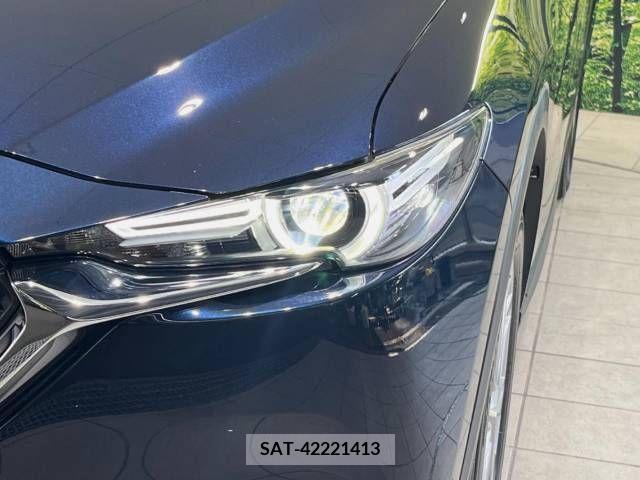 Mazda CX-8 2018-06 308540-13