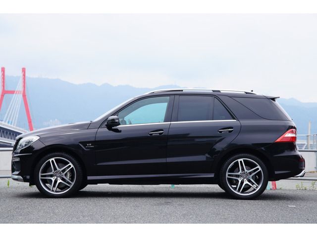Amg AMG OTHERS 2014-03 7881-7