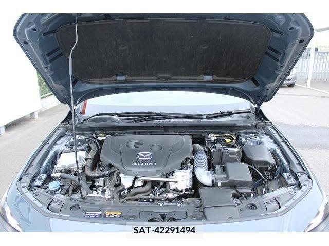 Mazda MAZDA3 2021-02 301061-19