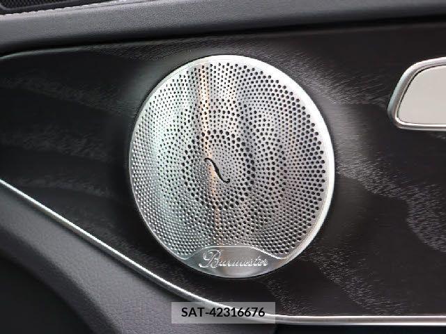 Amg C-CLASS 2016-08 203509-11