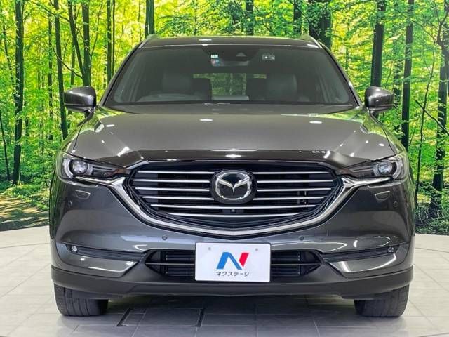 Mazda CX-8 2018-11 12262-14