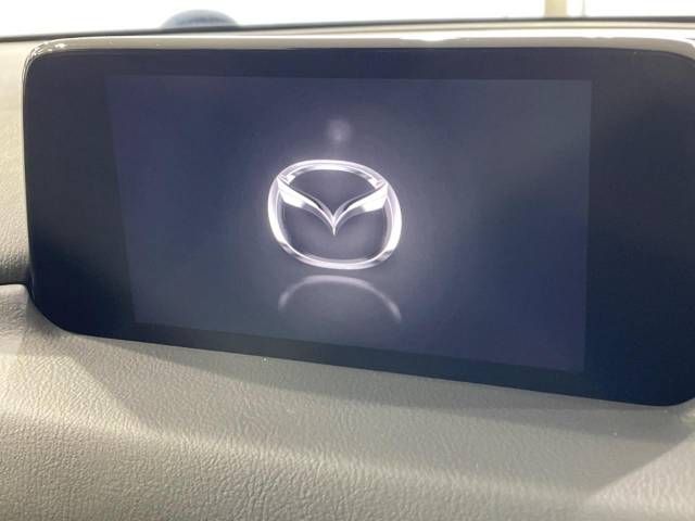 Mazda CX-8 2018-11 12262-2