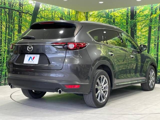 Mazda CX-8 2018-11 12262-17
