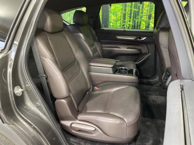 Mazda CX-8 2018-11 12262-9