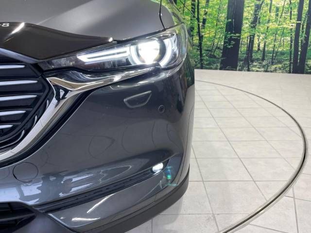 Mazda CX-8 2018-11 12262-12