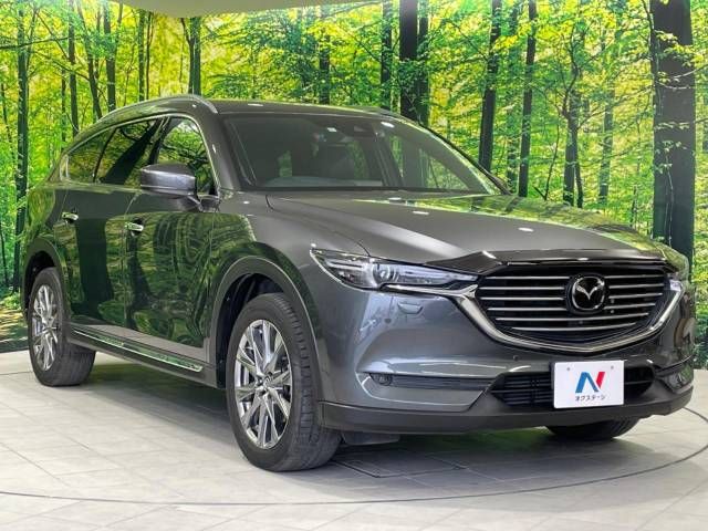 Mazda CX-8 2018-11 12262-16