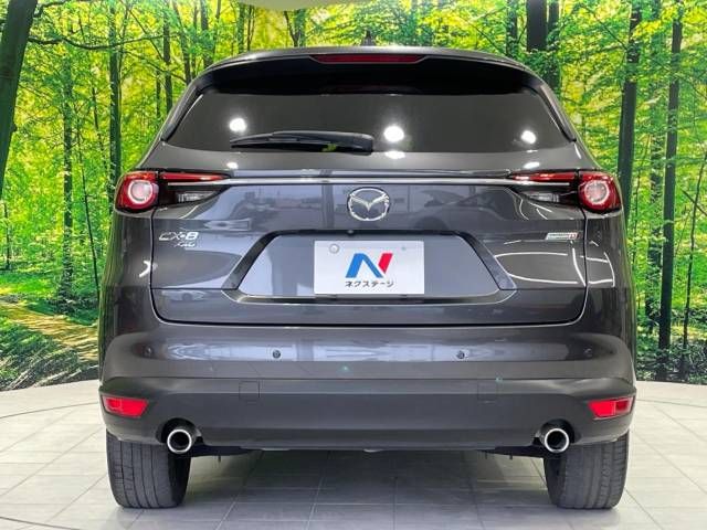 Mazda CX-8 2018-11 12262-15