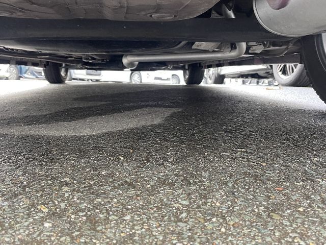 Suzuki SOLIO BANDIT 2019-03 194978-28