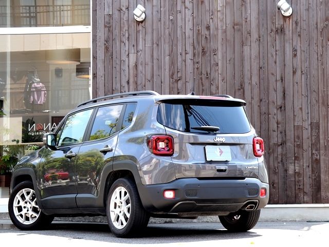 Jeep RENEGADE 2019-06 2014-14