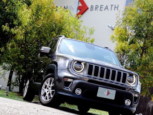 Jeep RENEGADE 2019-06 2014-3
