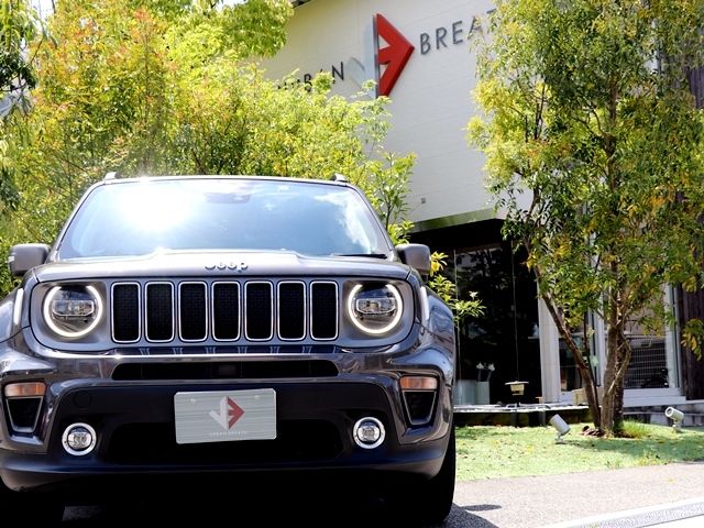 Jeep RENEGADE 2019-06 2014-7