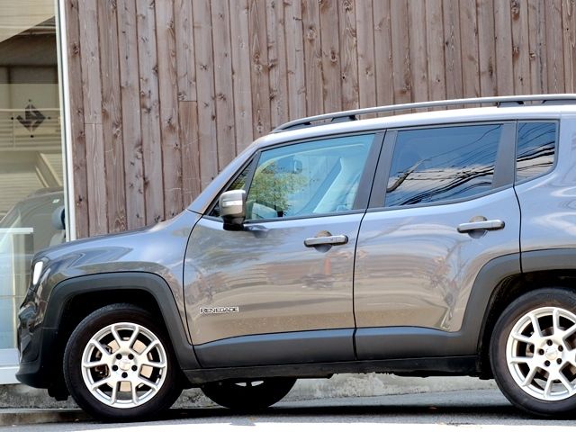 Jeep RENEGADE 2019-06 2014-8
