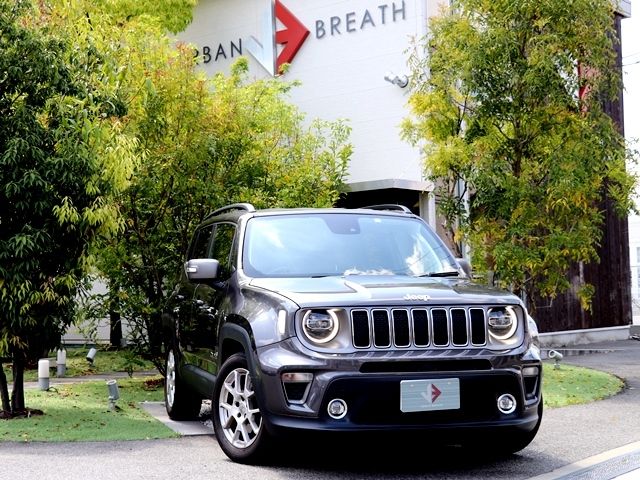 Jeep RENEGADE 2019-06 2014-0