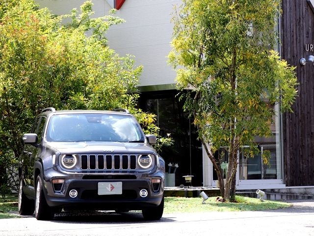 Jeep RENEGADE 2019-06 2014-5