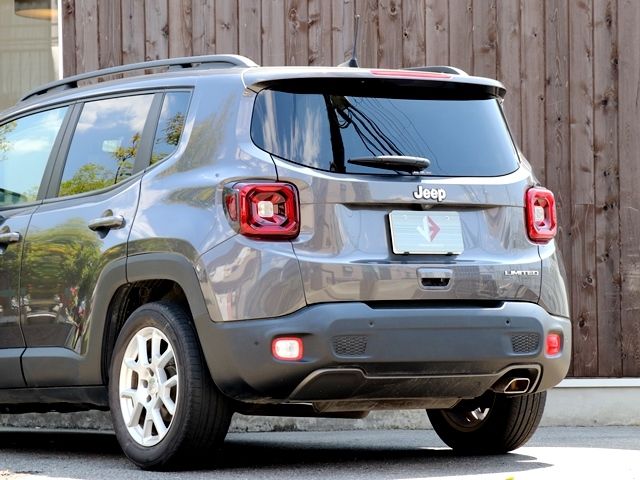 Jeep RENEGADE 2019-06 2014-12