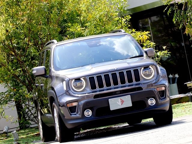 Jeep RENEGADE 2019-06 2014-6