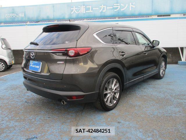 Mazda CX-8 2019-05 308562-7