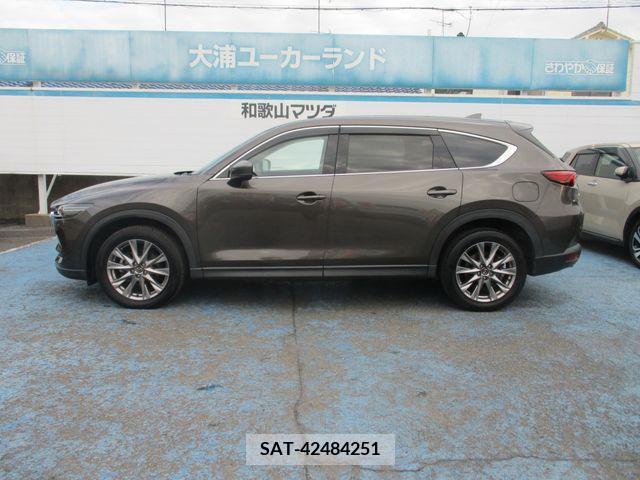 Mazda CX-8 2019-05 308562-5