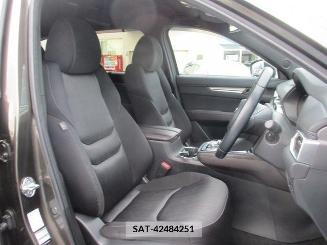 Mazda CX-8 2019-05 308562-10
