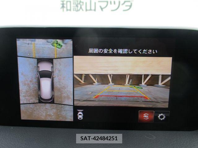 Mazda CX-8 2019-05 308562-15