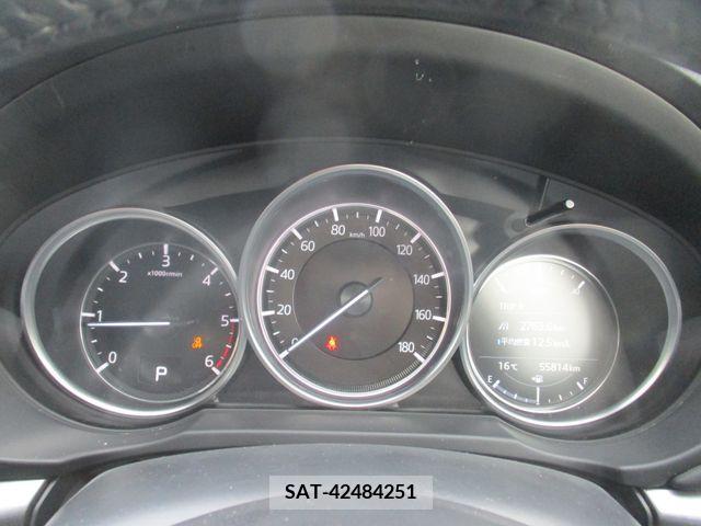 Mazda CX-8 2019-05 308562-13