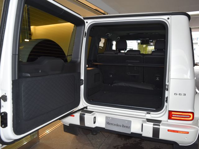 Amg G-CLASS 2020-11 7657-11
