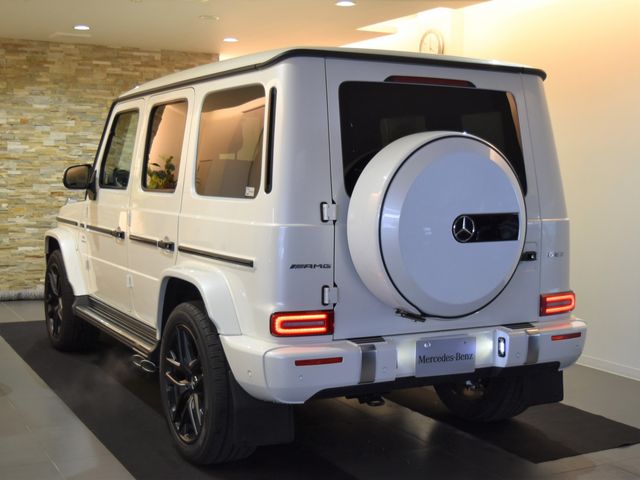 Amg G-CLASS 2020-11 7657-1