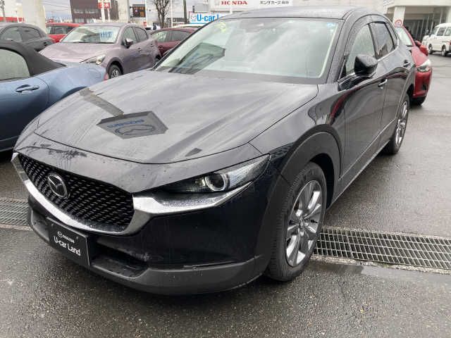 Mazda CX-30 2021-03 1374-4