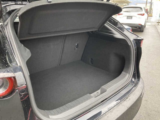 Mazda CX-30 2021-03 1374-8