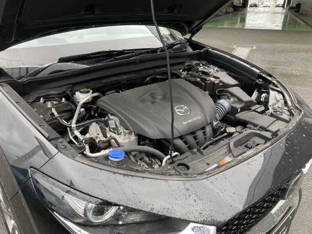 Mazda CX-30 2021-03 1374-3