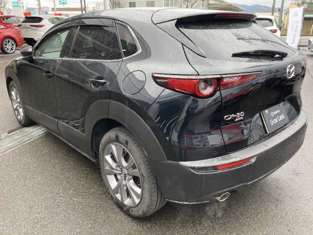 Mazda CX-30 2021-03 1374-7