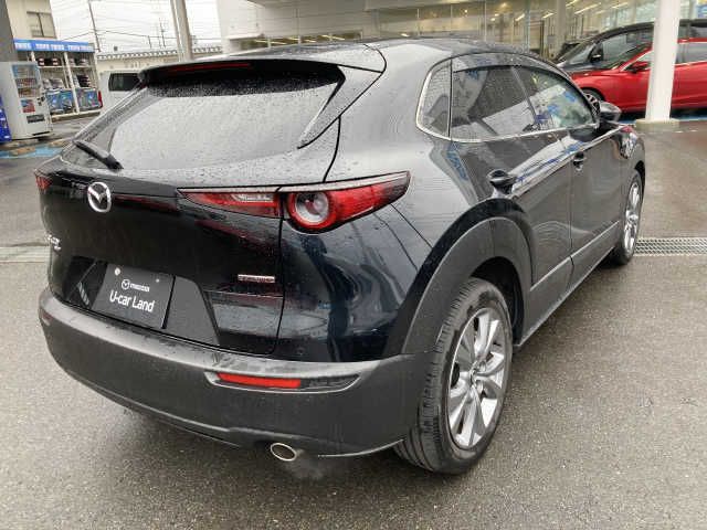 Mazda CX-30 2021-03 1374-2